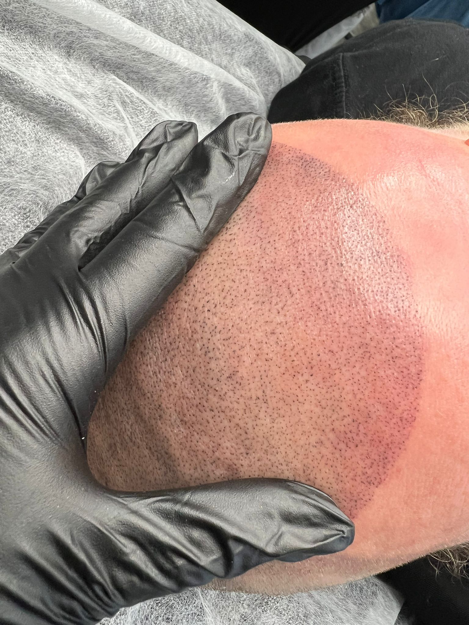 2. Pigment Sessions